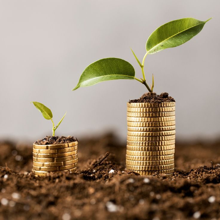 Personal Finance Strategies